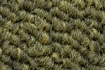 Tessera Create Space 1 1821 Citrine фото 3 | FLOORDEALER