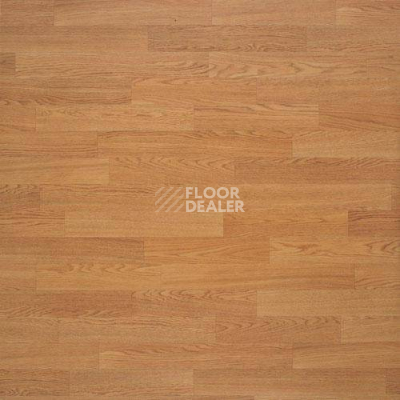 Линолеум Lg Rexcourt SPF1822 фото 1 | FLOORDEALER