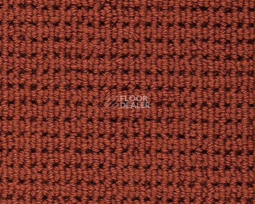 Ковролин Best Wool Hospitality 2 h 2060 - g 40000 фото 1 | FLOORDEALER