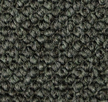 Ковролин Carpet Concept Eco Cut 54562 фото 1 | FLOORDEALER