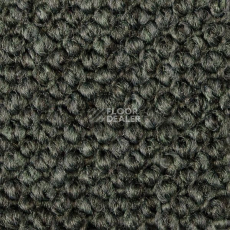 Ковролин Carpet Concept Eco Cut 54562 фото 1 | FLOORDEALER