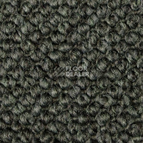 Ковролин Carpet Concept Eco Cut 54562 фото 1 | FLOORDEALER