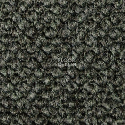 Ковролин Carpet Concept Eco Cut 54562 фото 1 | FLOORDEALER