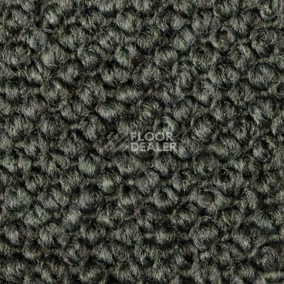 Ковролин Carpet Concept Eco Cut 54562 фото 1 | FLOORDEALER