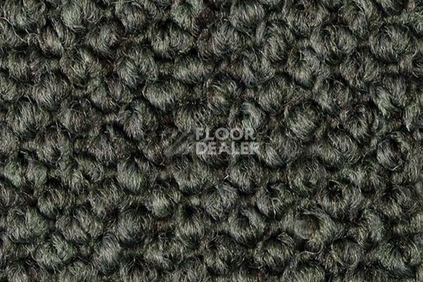 Ковролин Carpet Concept Eco Cut 54562 фото 1 | FLOORDEALER