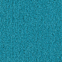 Ковролин Balsan Les Best 170 фото 1 | FLOORDEALER