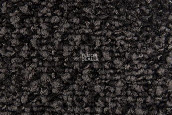 Balsan Take a Walk 790 Take a Walk фото 3 | FLOORDEALER
