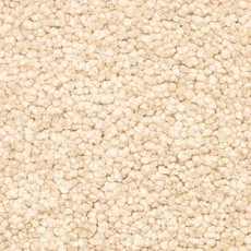 Ковролин AW Vivendi Vigour 33 фото 1 | FLOORDEALER