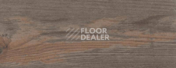 Плинтус Dollken EP 60/13 2988 фото 2 | FLOORDEALER