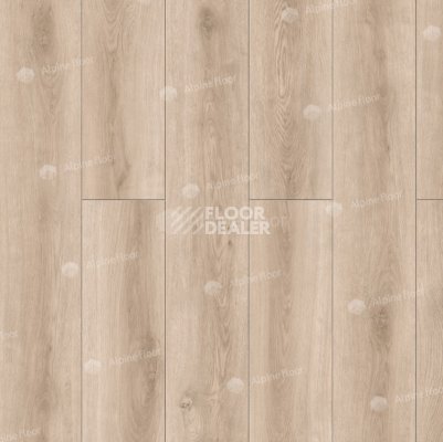 Ламинат Alpine Floor Intensity 12мм LF101-13 Дуб Модена фото 1 | FLOORDEALER