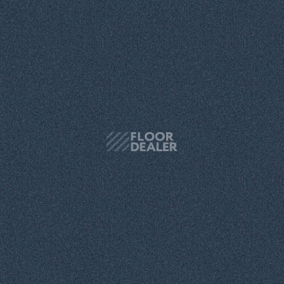 Ковровая плитка Forbo Tessera basis pro 4122 Night Sky фото 1 | FLOORDEALER
