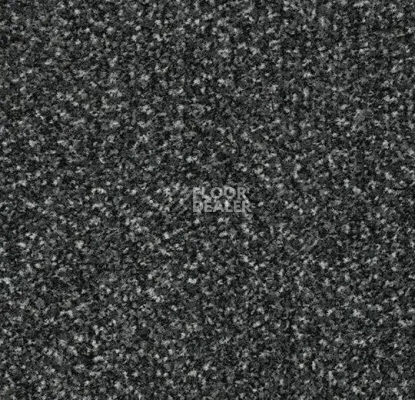 Грязезащитные покрытия Forbo Coral Pro-fit Quattro в плитке свободной укладки 4701 Anthracite фото 1 | FLOORDEALER