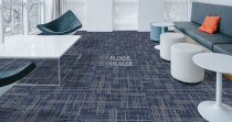 Casini Casini 555 фото 2 | FLOORDEALER