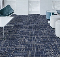 Casini Casini 555 фото 2 | FLOORDEALER