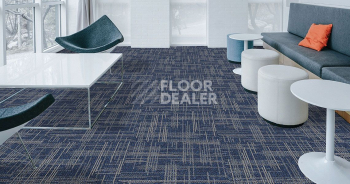 Standard Carpets Casini Casini 555 фото 2 | FLOORDEALER