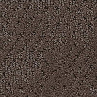 Ковролин Balsan Nice 760 фото 1 | FLOORDEALER