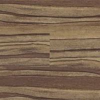 Линолеум Polyflor Expona Wood 6174 фото 1 | FLOORDEALER