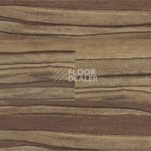 Линолеум Polyflor Expona Wood 6174 фото 1 | FLOORDEALER