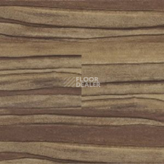 Линолеум Polyflor Expona Wood 6174 фото 1 | FLOORDEALER