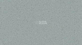 Линолеум Tarasafe Plus 7767_Dove_Grey фото 1 | FLOORDEALER