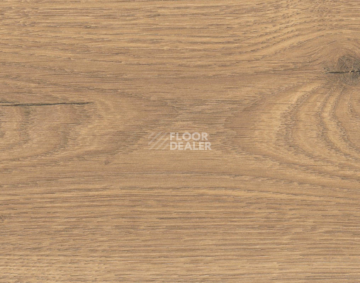 Ламинат Haro Tritty 100 4V Дуб Флавия Натур 544708 фото 1 | FLOORDEALER