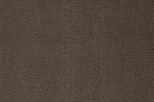 Ковролин Balta ITC Prominent 48 фото  | FLOORDEALER