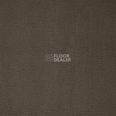 Ковролин Balta ITC Prominent 48 фото 1 | FLOORDEALER