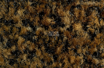 Forbo Coral Brush 5716 Masala Brown фото 2 | FLOORDEALER