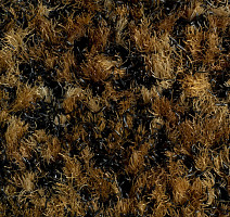 Forbo Coral Brush 5716 Masala Brown фото 2 | FLOORDEALER