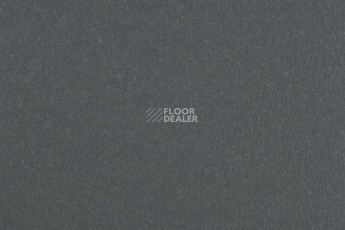 Forbo Marmoleum Solid Walton 173-17335 paving фото 1 | FLOORDEALER