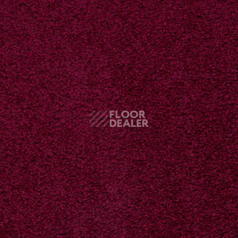 Ковролин Balta ITC Preciosa 16 фото 1 | FLOORDEALER