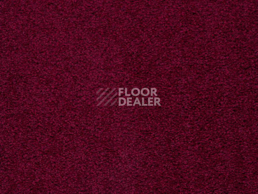 Ковролин Balta ITC Preciosa 16 фото 1 | FLOORDEALER