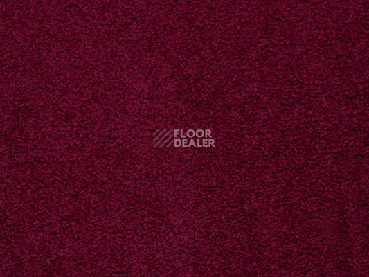 Ковролин Balta ITC Preciosa 16 фото 1 | FLOORDEALER