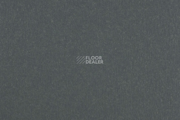 Линолеум Forbo Marmoleum Solid Walton 173-17335 paving фото 1 | FLOORDEALER