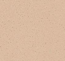 Линолеум Tarkett Zenit 700 фото 1 | FLOORDEALER