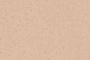 Линолеум Tarkett Zenit 700 фото  | FLOORDEALER