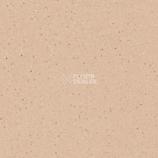 Линолеум Tarkett Zenit 700 фото 1 | FLOORDEALER
