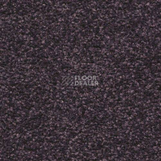 Ковровая плитка Forbo Sharepoint 1174 фото 1 | FLOORDEALER