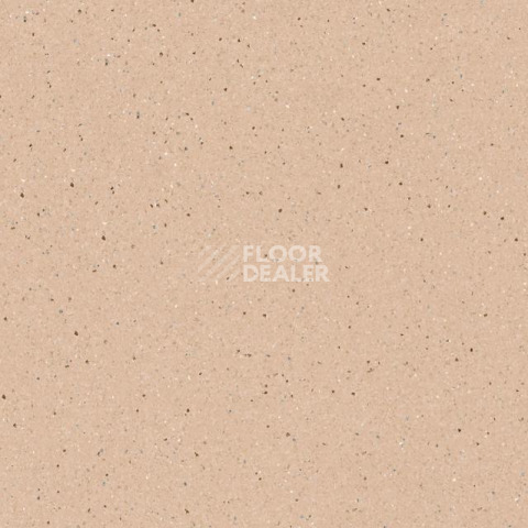 Линолеум Tarkett Zenit 700 фото 1 | FLOORDEALER