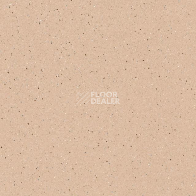 Линолеум Tarkett Zenit 700 фото 1 | FLOORDEALER