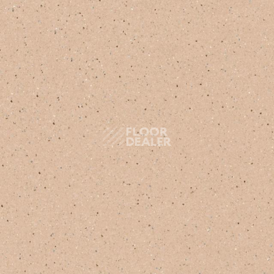 Линолеум Tarkett Zenit 700 фото 1 | FLOORDEALER