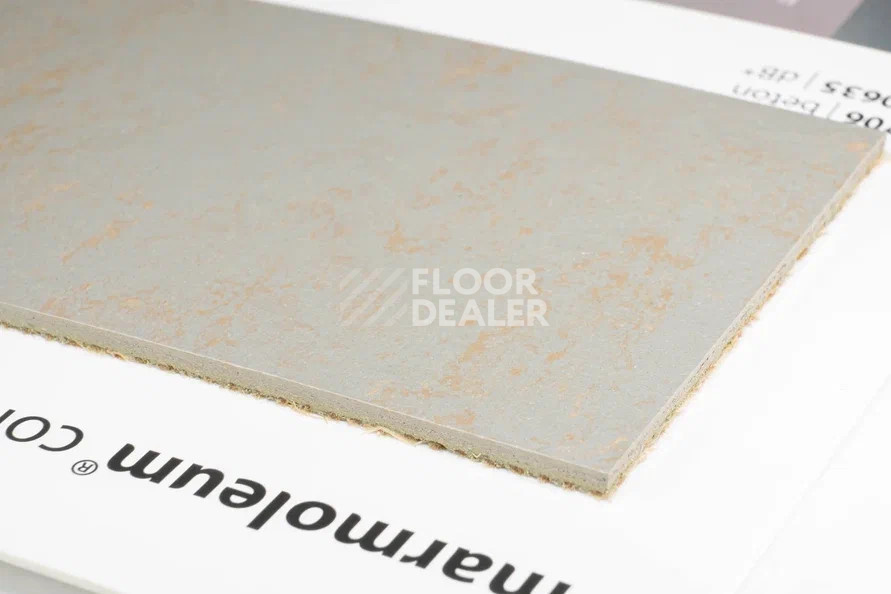 Линолеум Marmoleum Solid Concrete 3706-370635 beton фото 1 | FLOORDEALER
