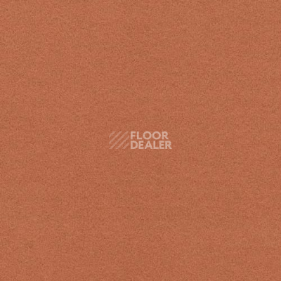 Ковролин Flotex Artline 211072 фото 1 | FLOORDEALER