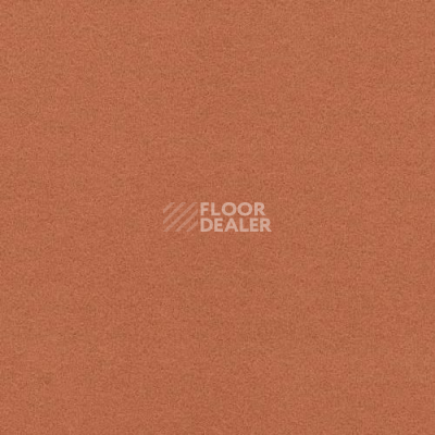 Ковролин Flotex Artline 211072 фото 1 | FLOORDEALER