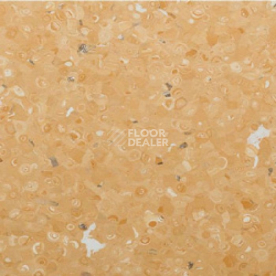 Линолеум Apoluza Tangyun 1005 фото 1 | FLOORDEALER