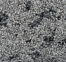 Balsan Vision Canopy to Bark 910 Scope фото 4 | FLOORDEALER