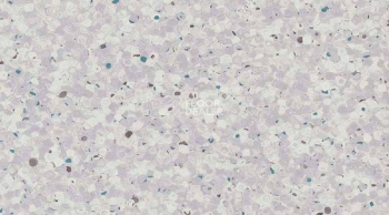 Кварцвиниловые полы  0318_Grape фото 1 | FLOORDEALER