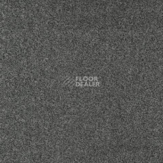 Ковролин Gleam W2W 907 Gleam w2w фото 1 | FLOORDEALER