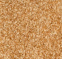 Ковролин AW Silence 38 фото 1 | FLOORDEALER