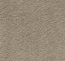 Ковролин AW Softissimo 39 фото 1 | FLOORDEALER